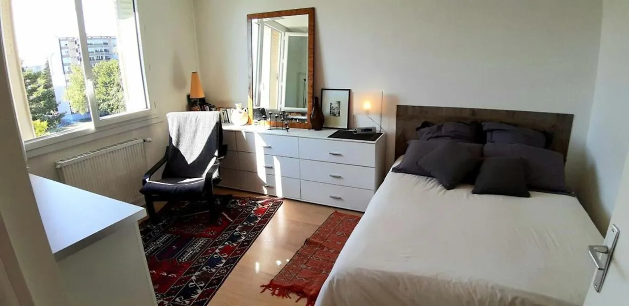 Charming Bright T2 Balcony Parking Telework Apartment Annecy France