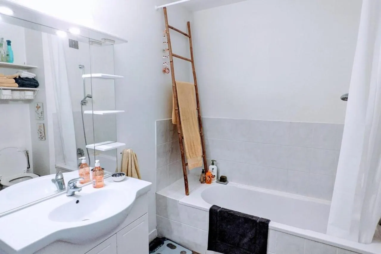 Charming Bright T2 Balcony Parking Telework Apartment Annecy France